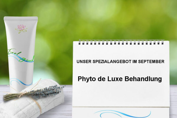 Aktionsangebot: Phyto de Luxe Behandlung